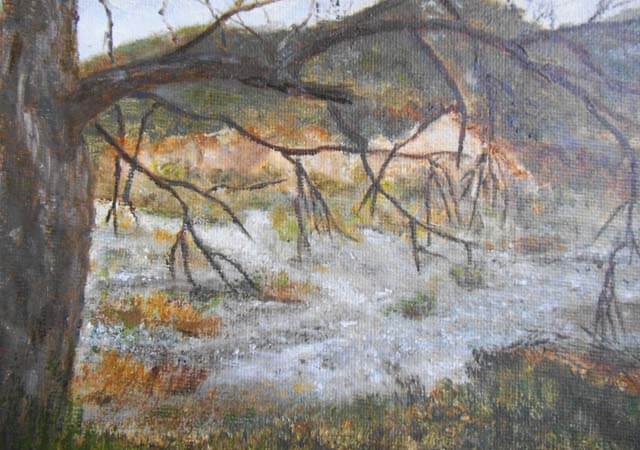 Sue Eberhardt Artist